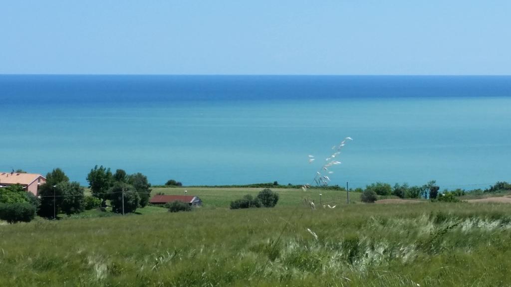 A Due Passi Dal Mare B&B Numana Eksteriør bilde